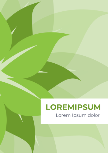 frame 0
